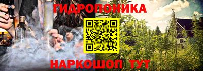 СК Кандалакша
