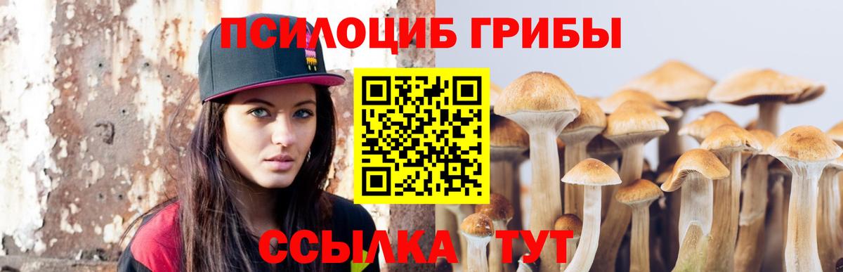 Псилоцибиновые грибы GOLDEN TEACHER  Псилоцибиновые грибы Psilocybine cubensis  Вход с VPN  Югорск 